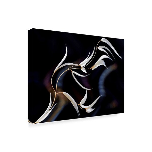 Thierry Dufour 'The Voices Of Nature' Canvas Art,18x24